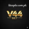 v44 game